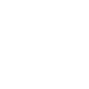 Understand workforce composition as the organization continues to grow.